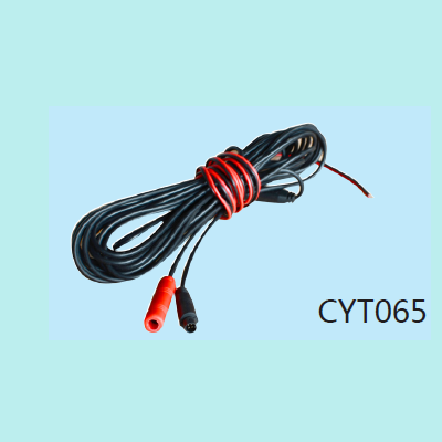 CYT065